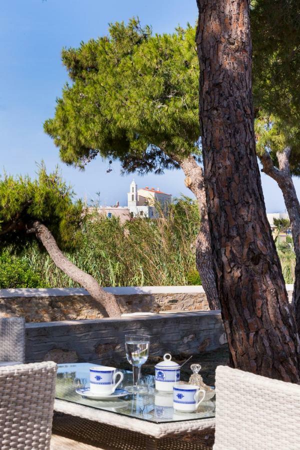 Вілла Dellagracia Mansion In Poseidonia Syros Posidhonia  Екстер'єр фото